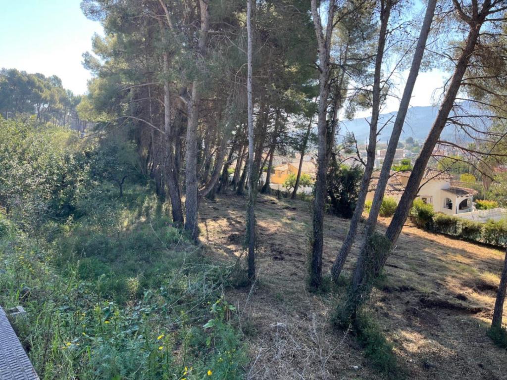 plot in Alcalalí
