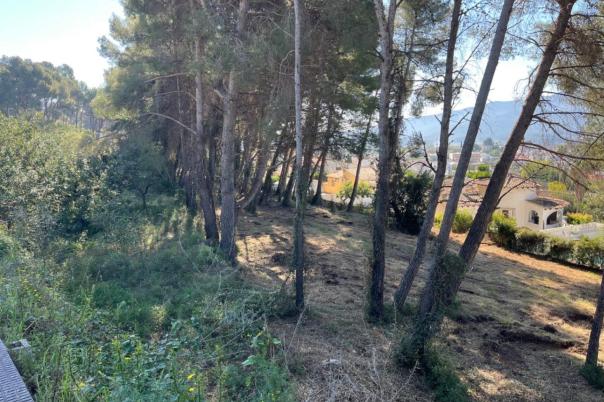 plot in Alcalalí