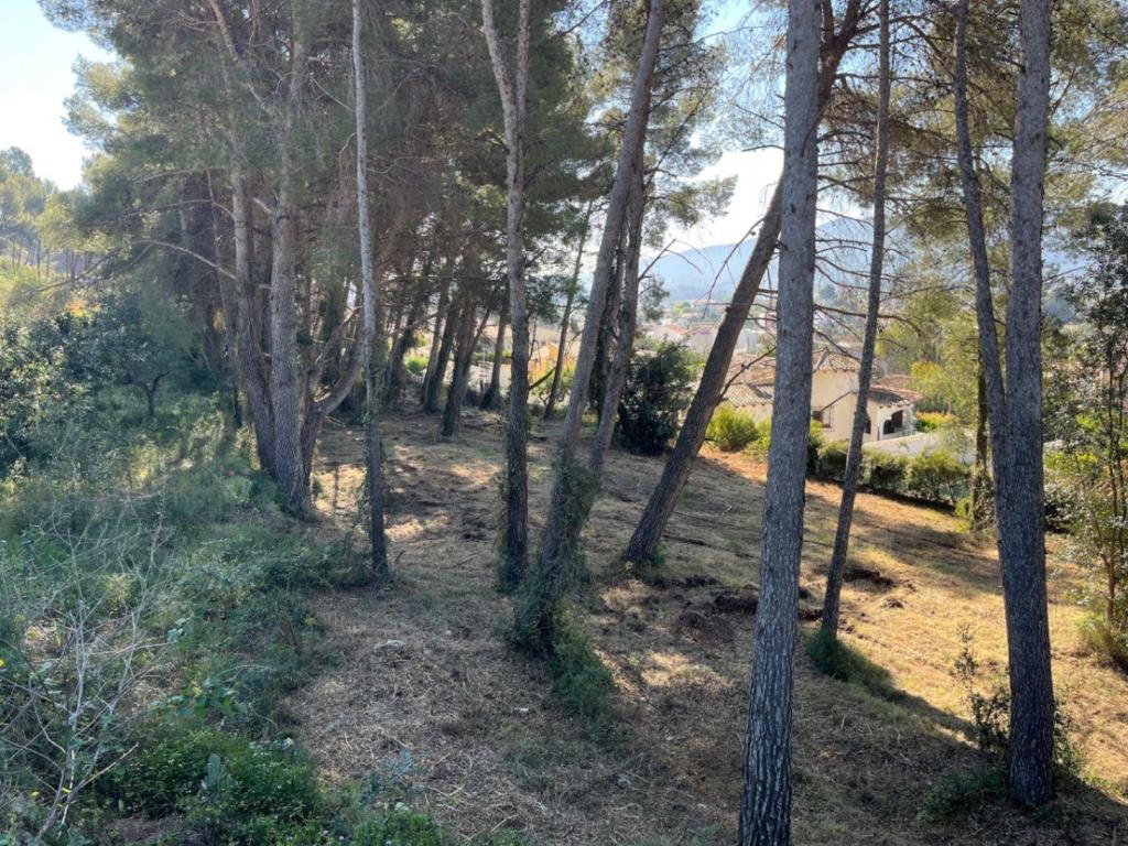 plot in Alcalalí