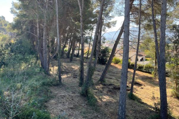 plot in Alcalalí