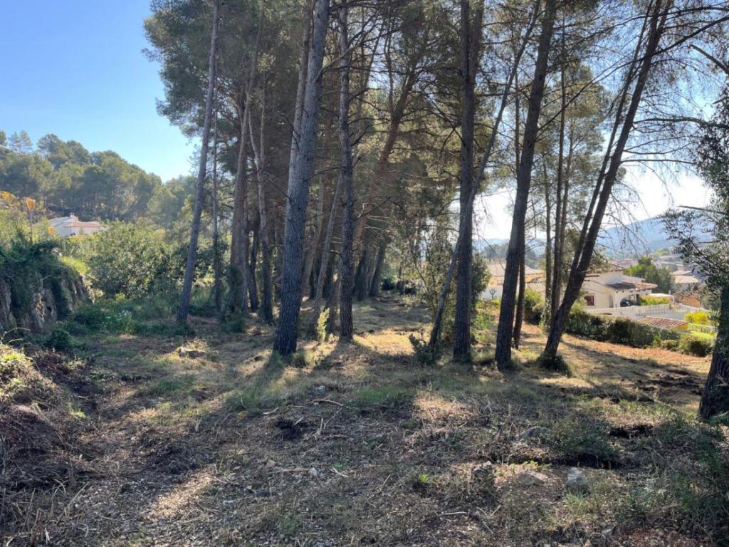 plot in Alcalalí