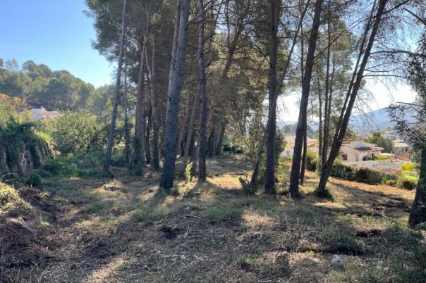 plot in Alcalalí