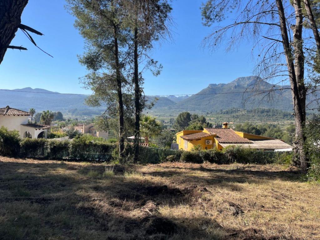 plot in Alcalalí