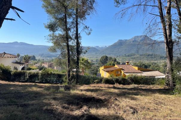 plot in Alcalalí