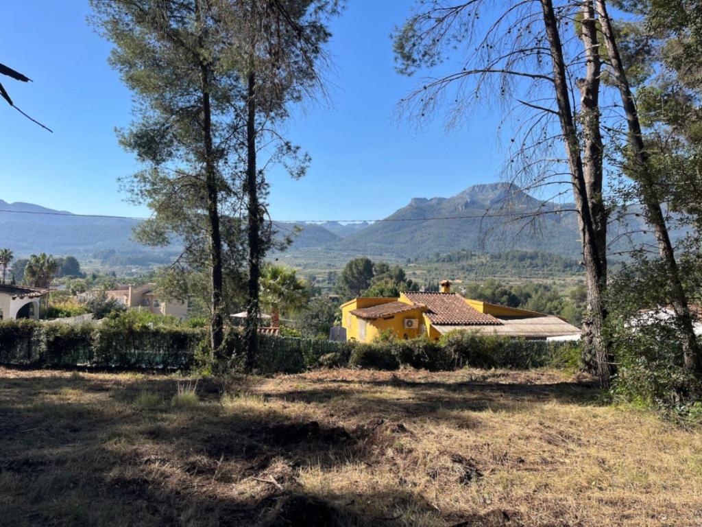 plot in Alcalalí