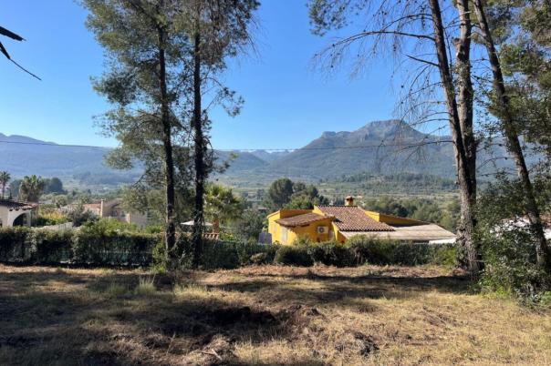 plot in Alcalalí