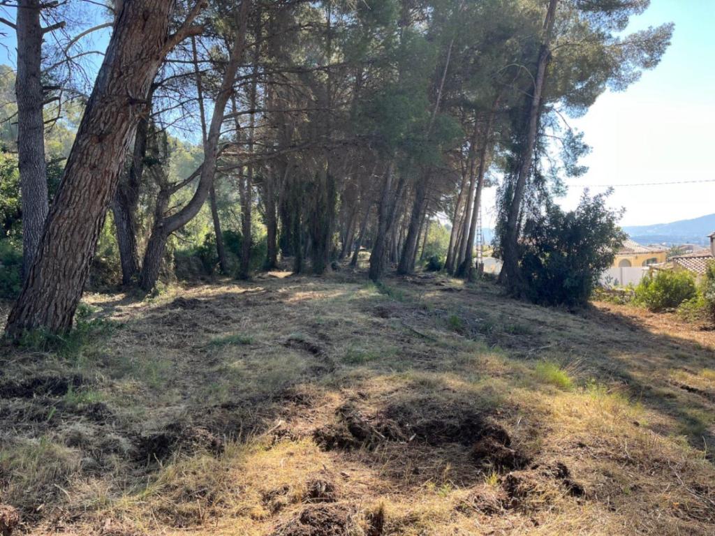 plot in Alcalalí