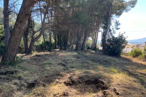 plot in Alcalalí