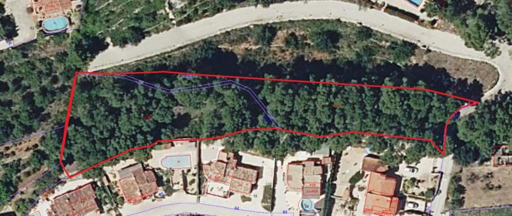 plot in Alcalalí