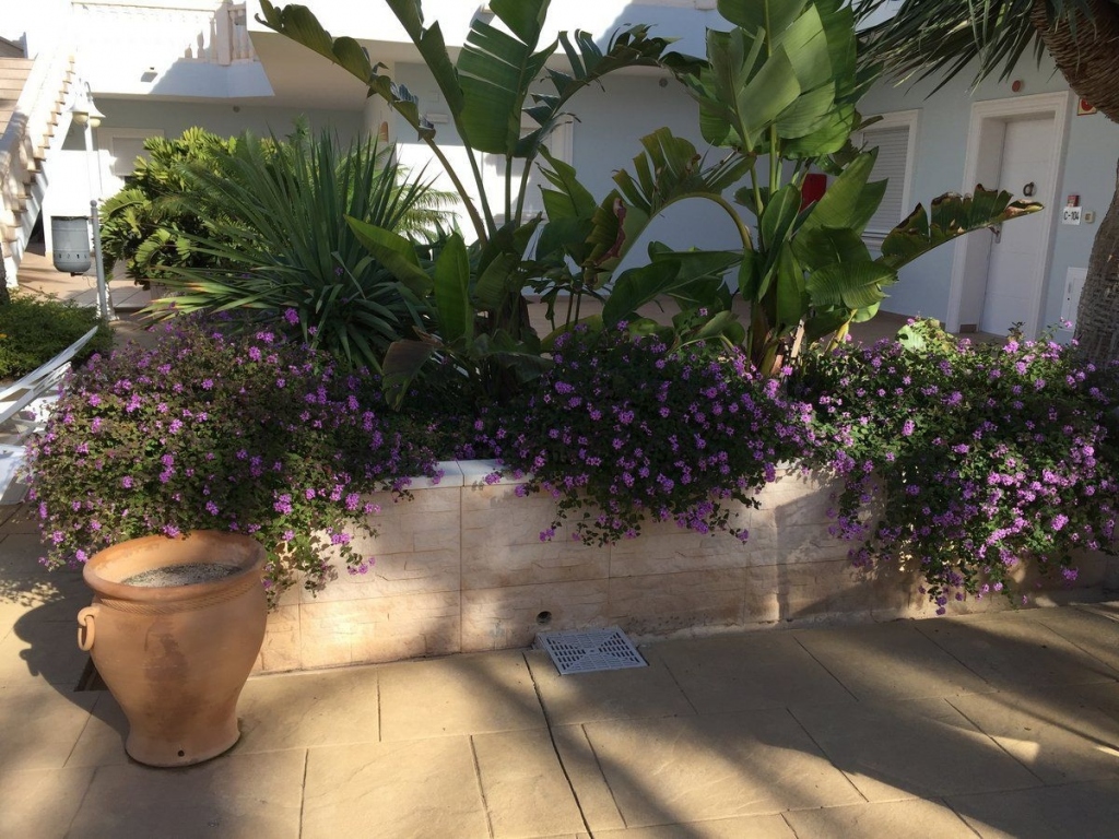 1 bed apartamento in Benissa