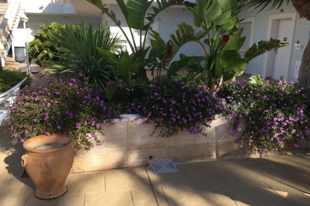 1 bed apartamento in Benissa
