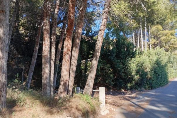 plots of land in Calpe