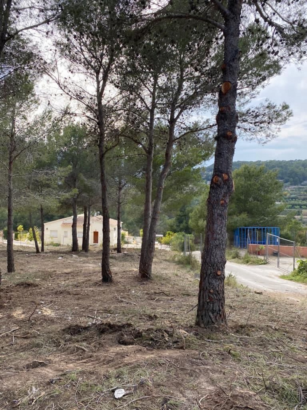 plot in Calp