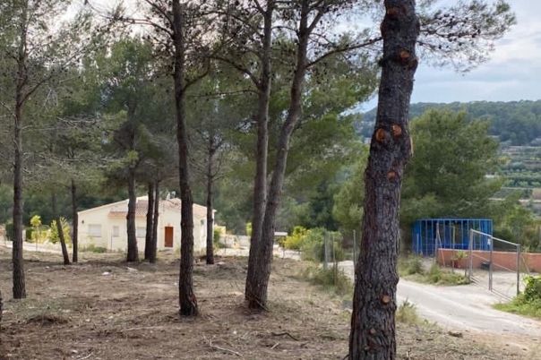 plot in Calp