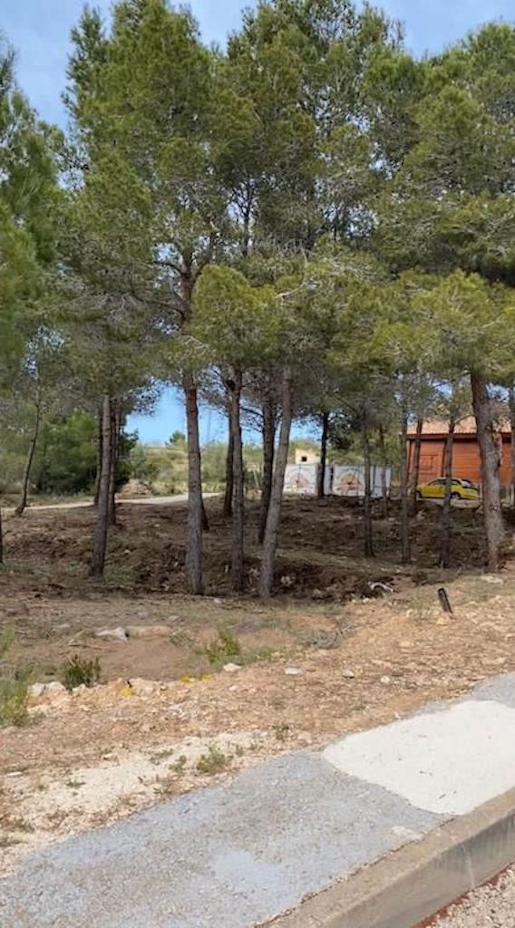 plot in Calp