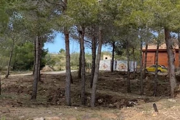 plot in Calp