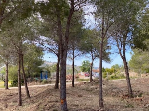 plot in Calp