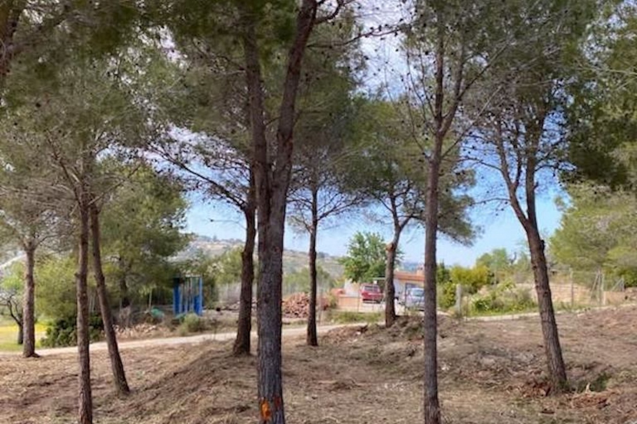 plot in Calp