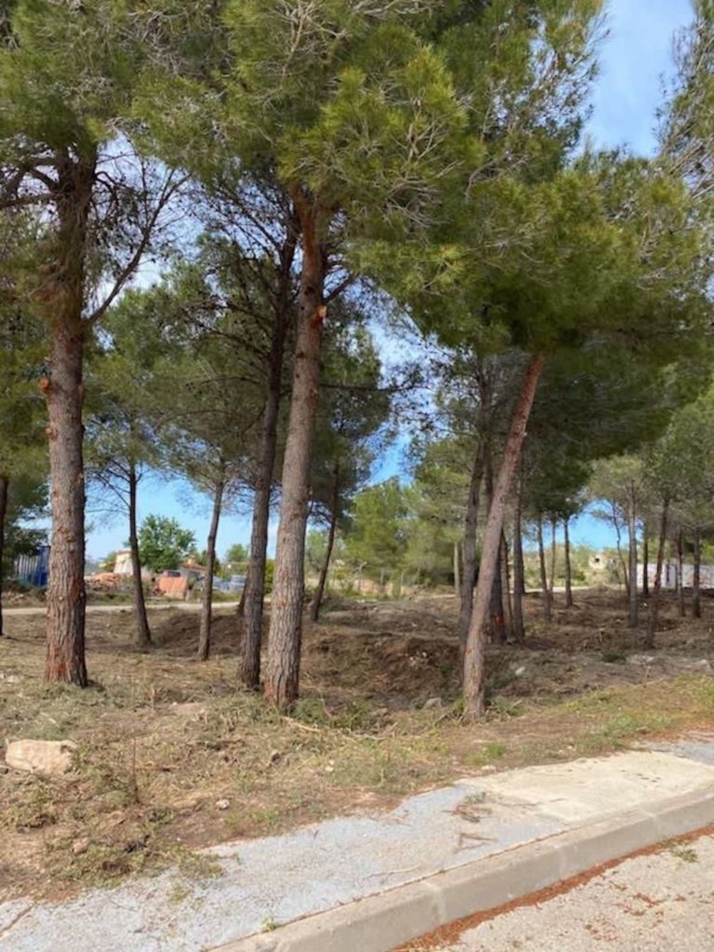 plot in Calp