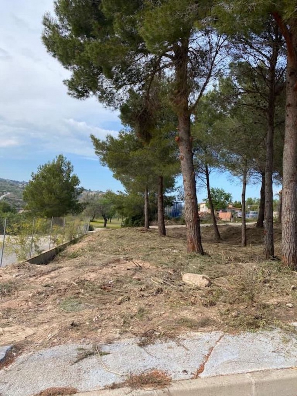 plot in Calp