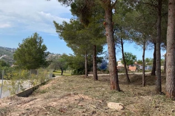 plot in Calp