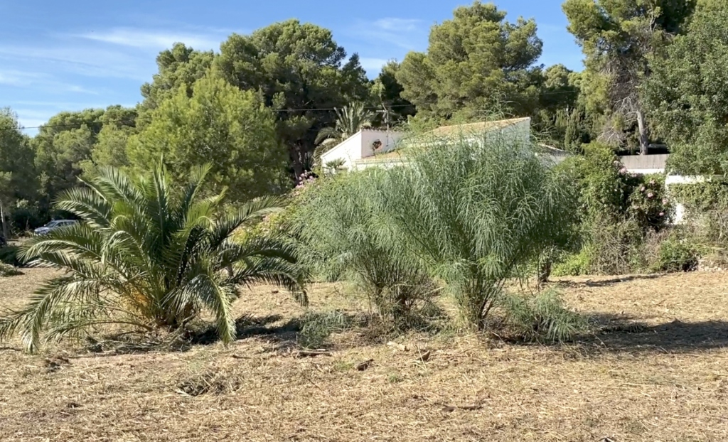 plot in Xàbia