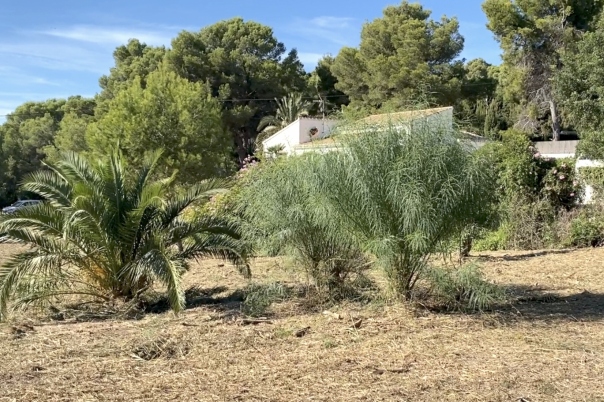 plot in Xàbia