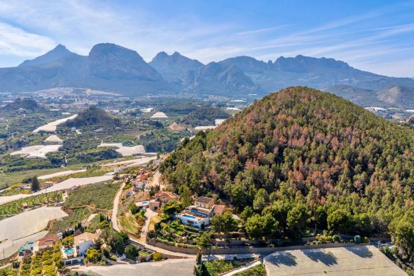 5 bed villa in Callosa de Ensarriá