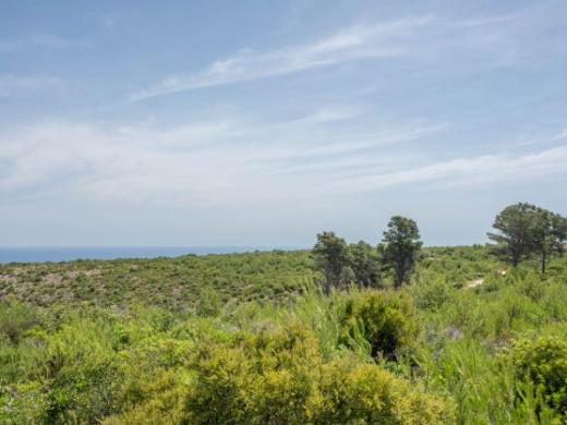 plot in Jávea