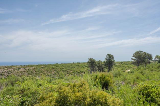 plot in Jávea