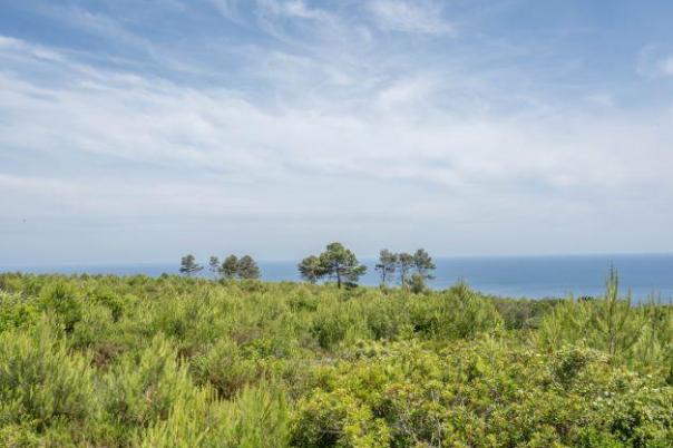 plot in Jávea