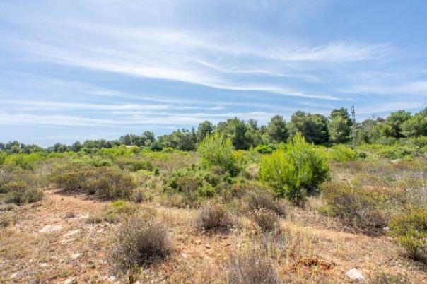 plot in Jávea