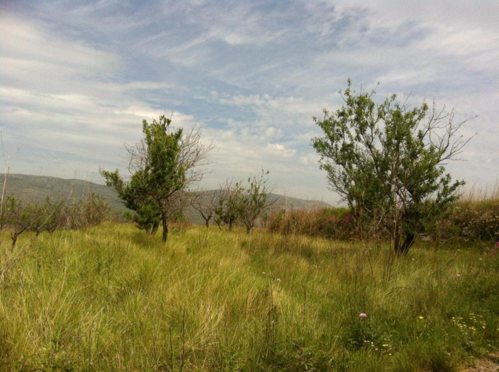 plots of land in Benissa