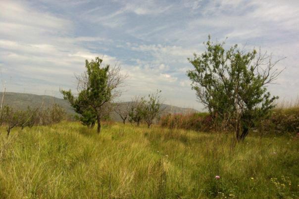 plots of land in Benissa