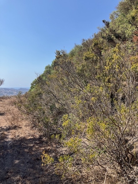 plots of land in Teulada