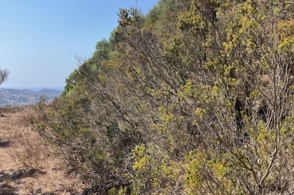 plots of land in Teulada