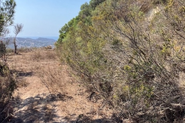 plots of land in Teulada