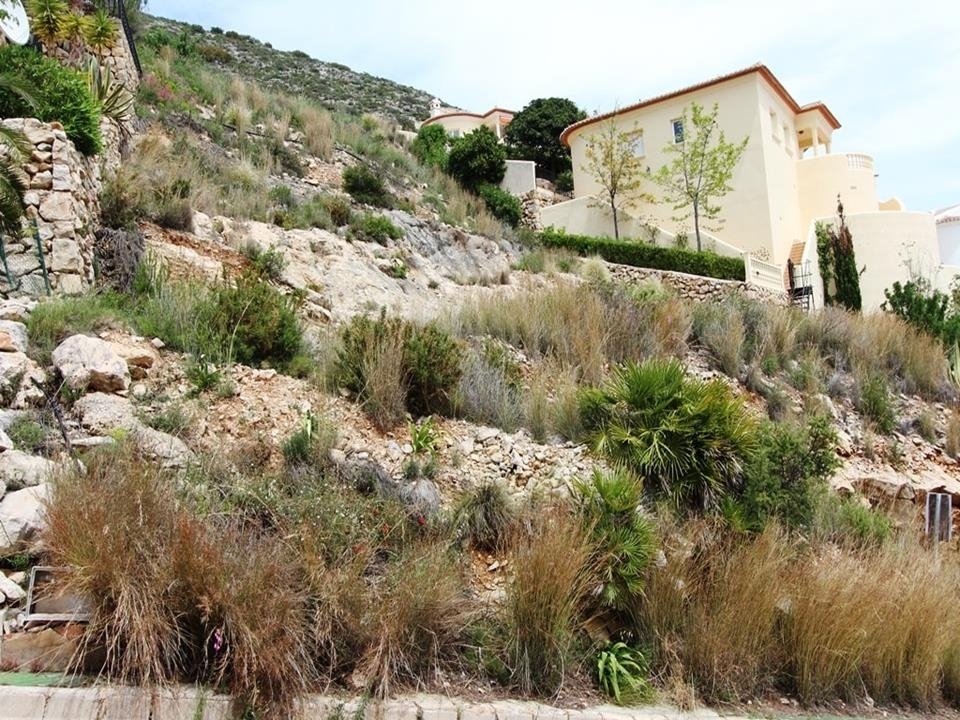 plot in Jalón
