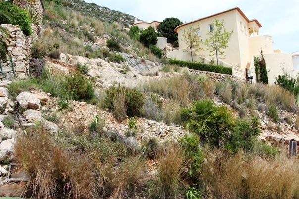 plot in Jalón