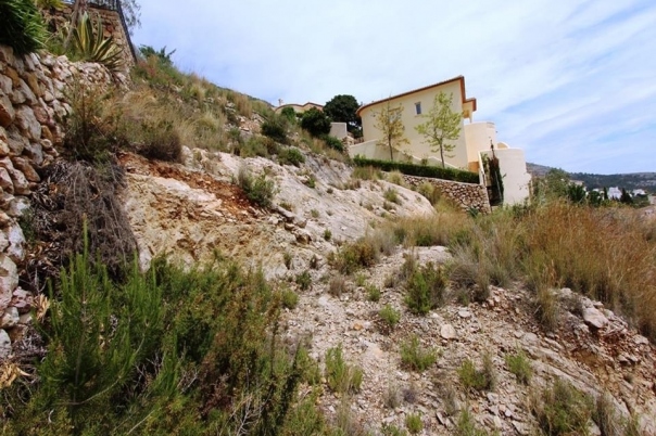 plot in Jalón