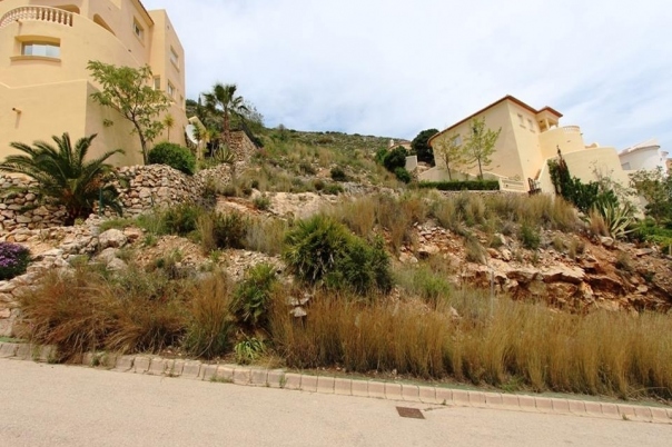 plot in Jalón