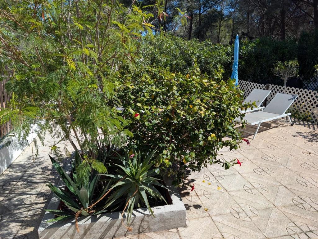 2 bed terraced house in Moraira