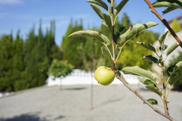 3 bed villa in Benissa