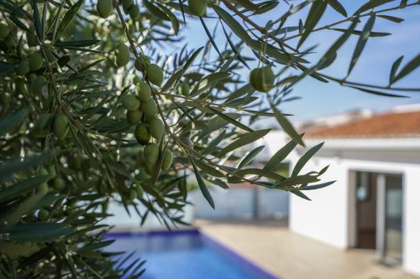 3 bed villa in Benissa