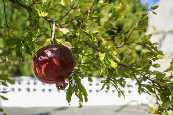 3 bed villa in Benissa