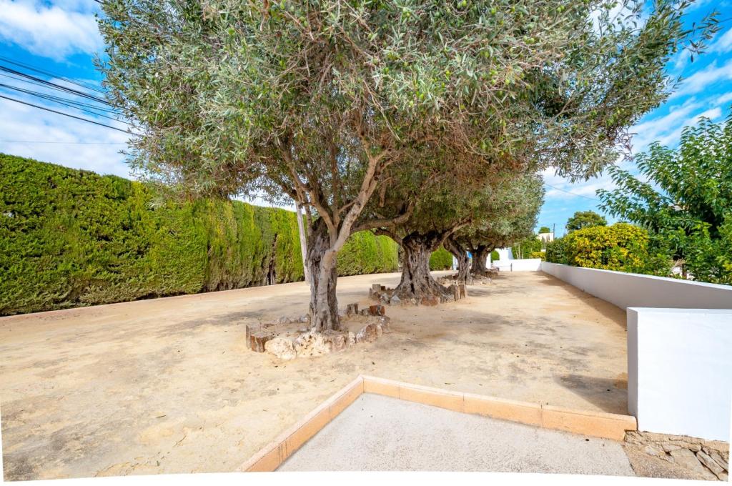 9 bed finca in Benissa