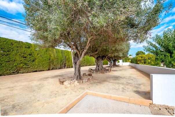 9 bed finca in Benissa