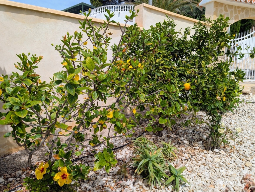 3 bed villa in Moraira