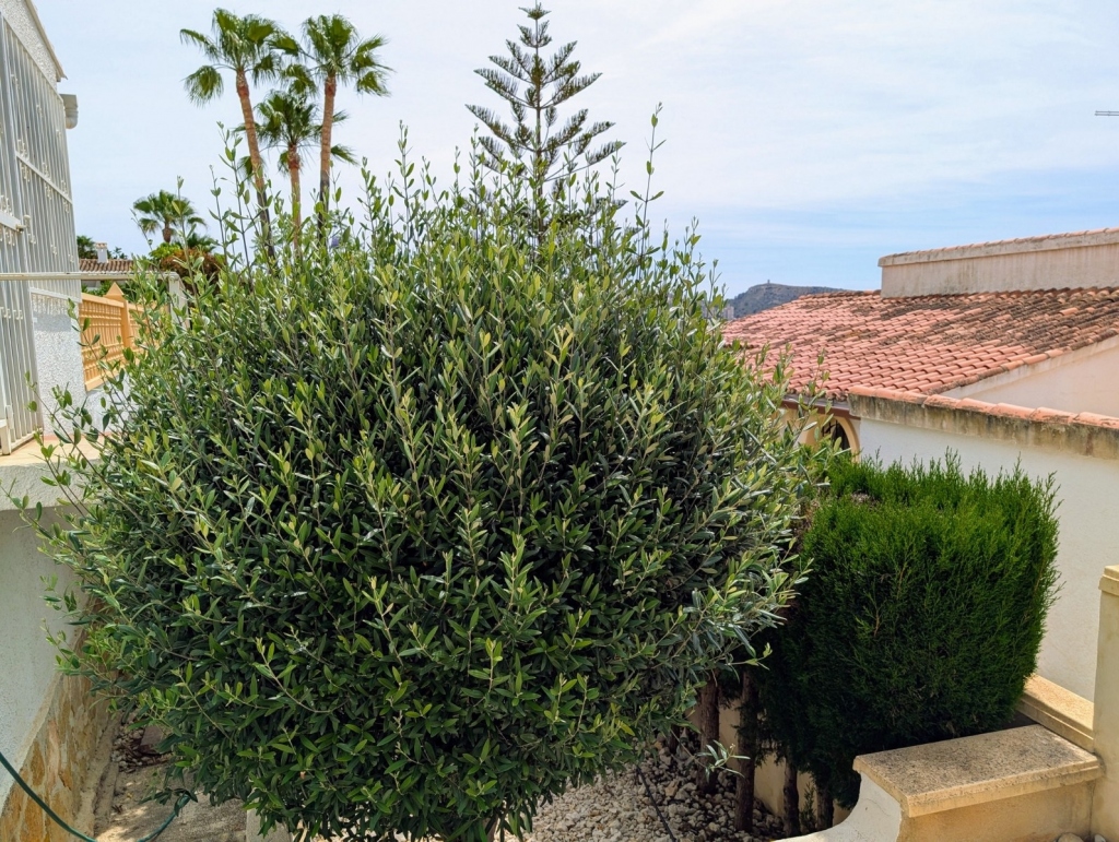 3 bed villa in Moraira