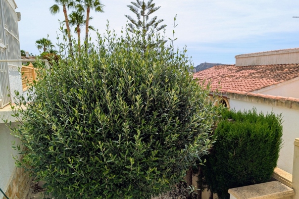 3 bed villa in Moraira